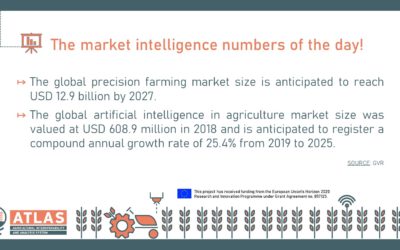 The market intelligence numbers of the day