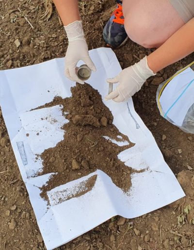 Filling the metalic capsules with soil samples (for drying)