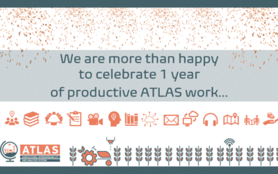Today we are celebrating 1 year of productive work…