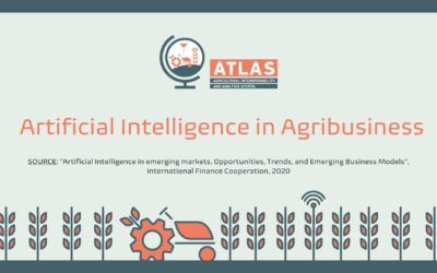 Artificial Intelligence in Agribusiness