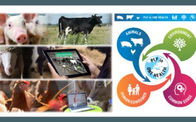 European Conference on Precision Livestock Farming