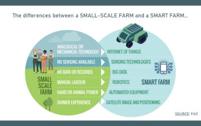 SMALL-SCALE FARM vs SMART FARM