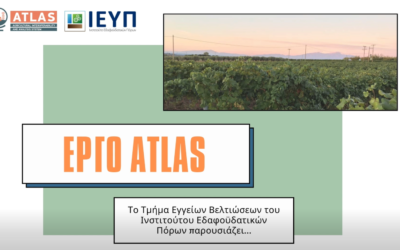 More ATLAS irrigation services under way in the Greek pilots