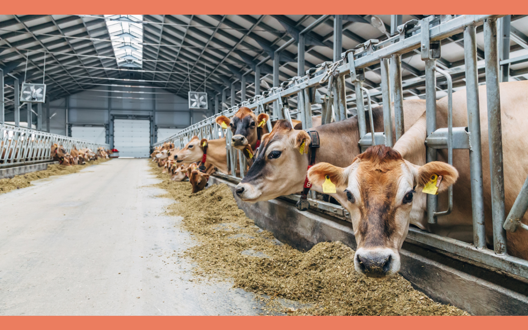The Global Precision Livestock Farming Market