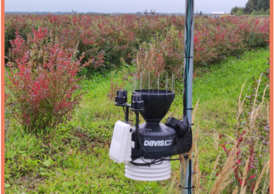 ATLAS meteorological station in blueberries plantation.